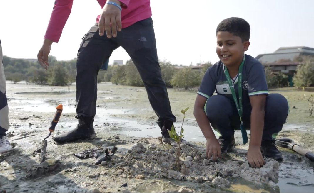 Students from North Gate British School plant mangrove saplings at Al Zorah Beach in Ajman, part of a wider effort to restore the UAE’s coastal ecosystems.