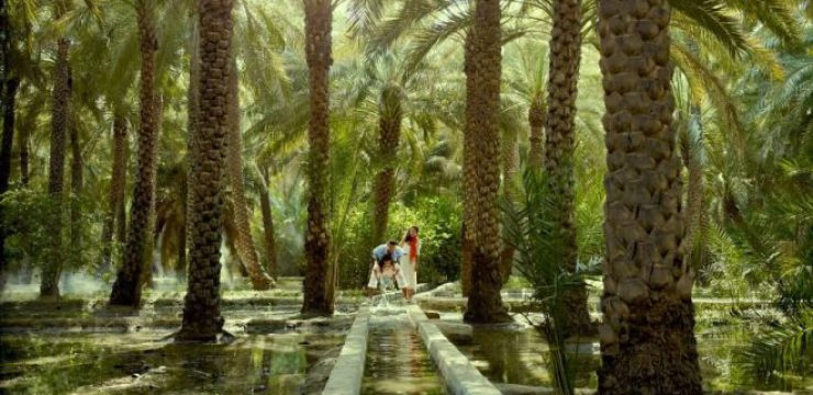 al-ain-oasis.jpg