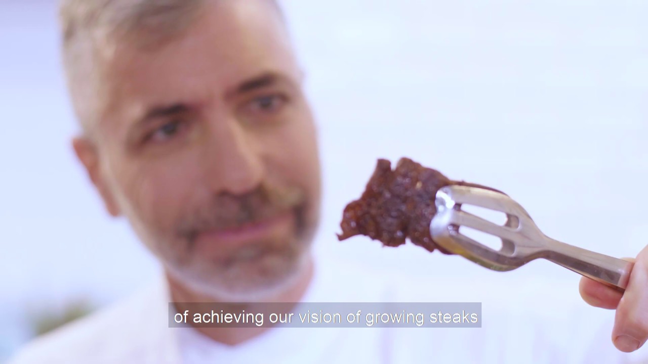 aleph farms engineered slaughter free meat, man looking at a piece of it