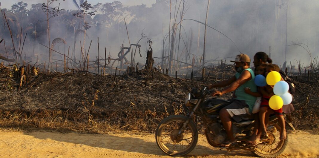 How banks are burning the Amazon