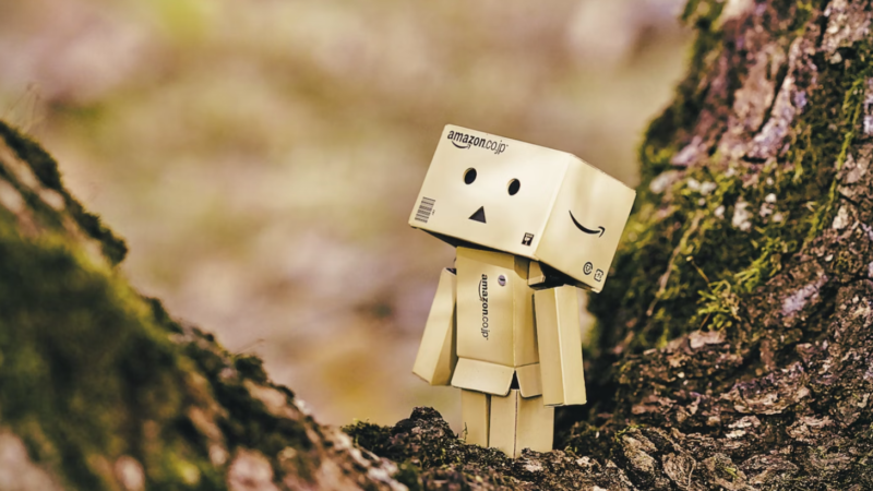 Shopping Mindfully on Amazon