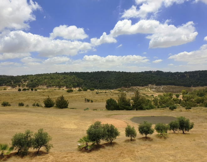 Bisharat Golf Club is a brown green in Jordan