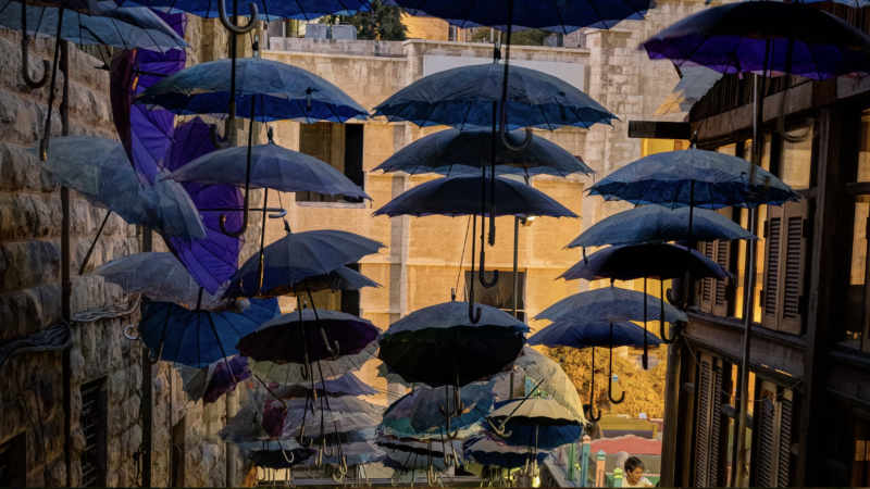 Top 10 Eco-Friendly Parks and Green Spaces in Amman, Jordan