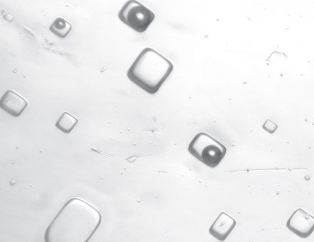 Microscopic image of fluid inclusions in 1.4-billion-year-old halite crystals, which preserve ancient air and brine. (Justin Park/RPI)