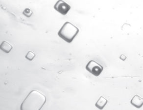 Ancient air trapped in Canadian salt bubbles foretells climate future