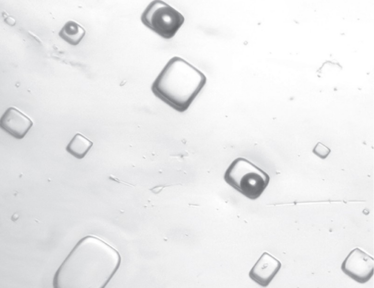 Ancient air trapped in Canadian salt bubbles foretells climate future