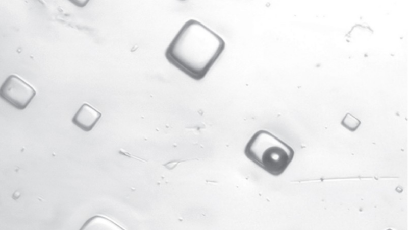 Ancient air trapped in Canadian salt bubbles foretells climate future