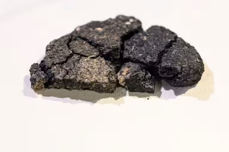 Eating History With The Bronze Age Bread You Can Bake in Your Kitchen Today