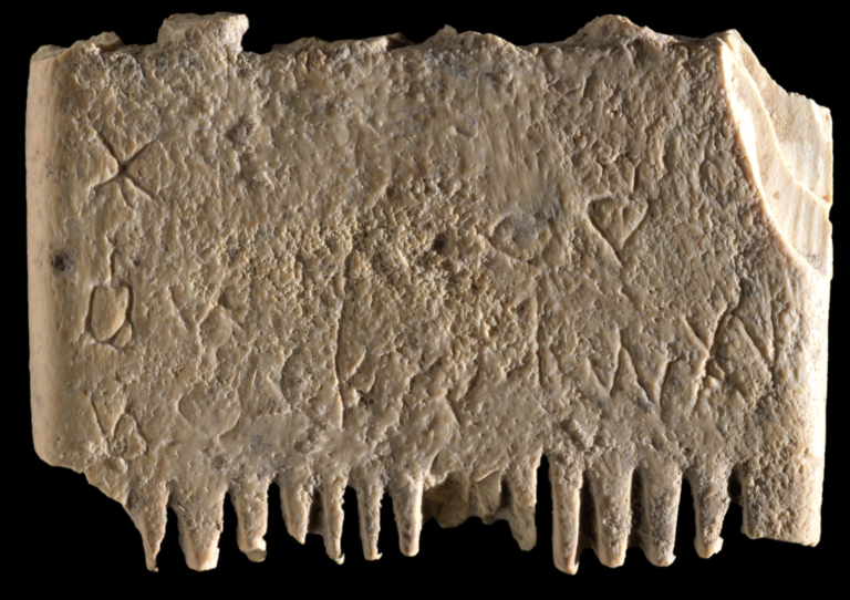 Ancient comb bears some advice about lice