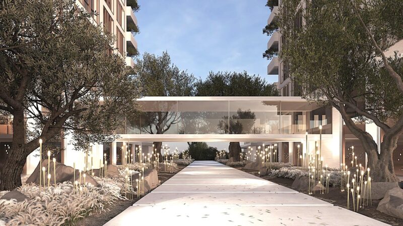 Dubai developer uproots ancient Italian olive trees, $270,000 USD each for “eco” project