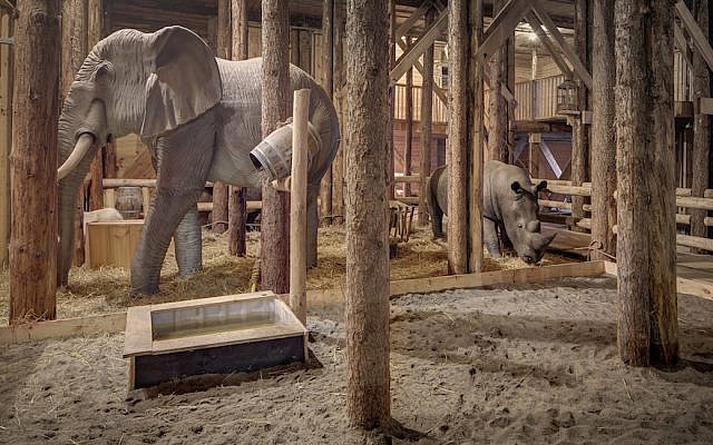 image inside noah's ark