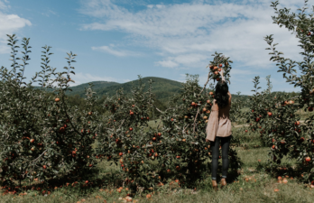 Erratic weather makes it ever clearer that Europe must future-proof agricultural sector