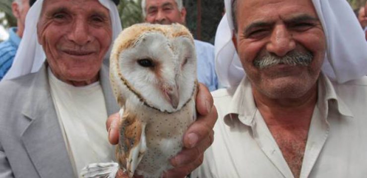 arab-farmers-barn-owls-leshem.jpg