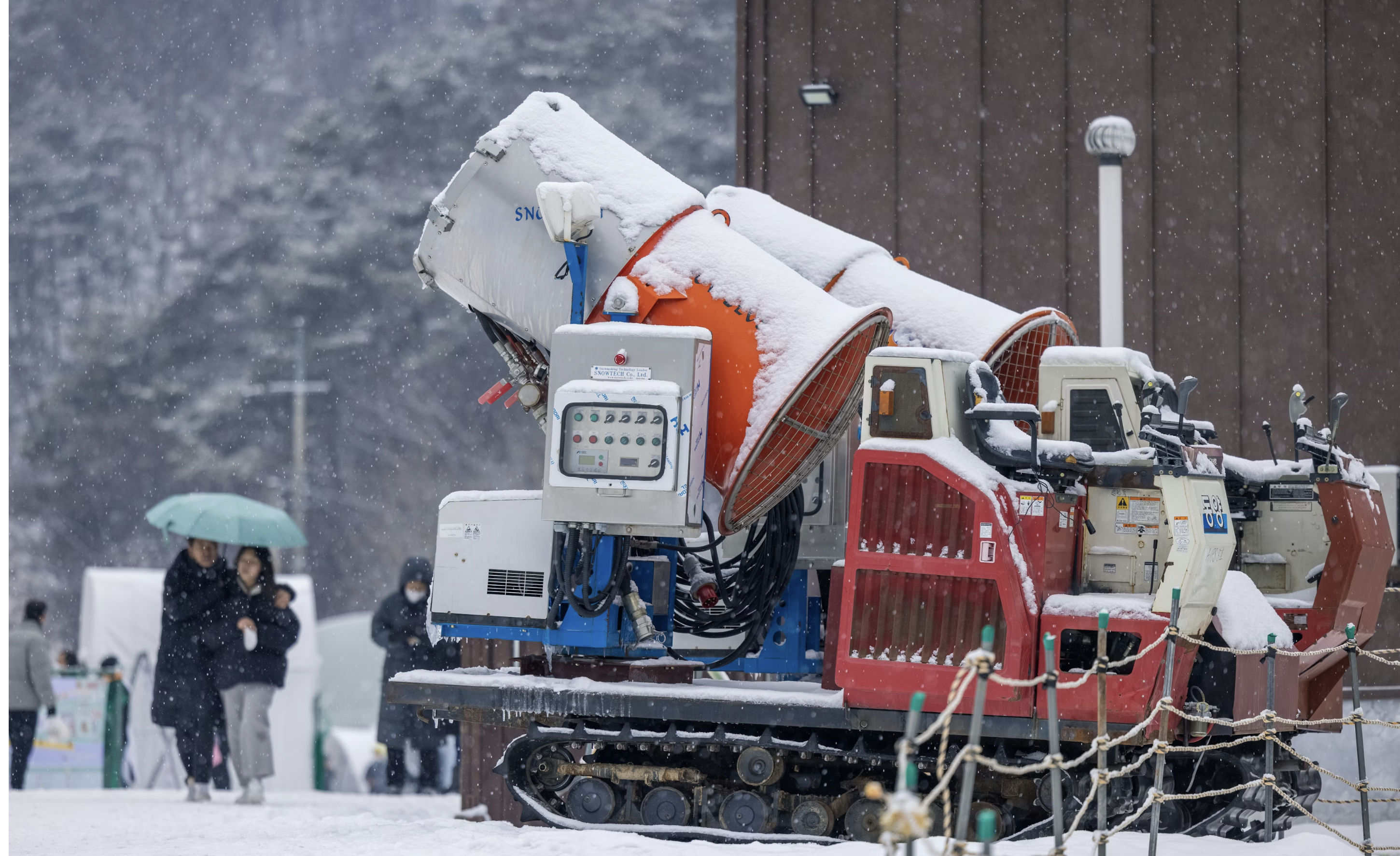 Artificial snow is made from a bacteria