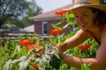 Hydroponics is new way of growing plants
