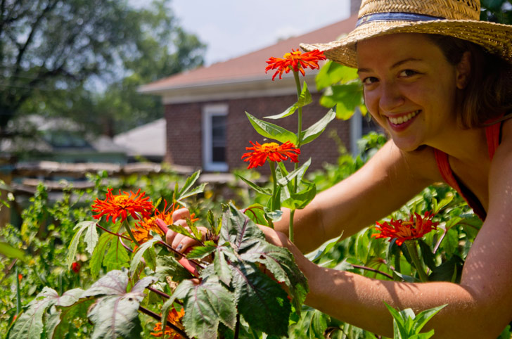 Urban Farm School teaches you how to grow food in your city. 