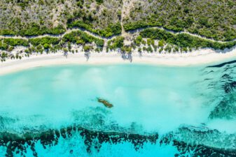 Seychelles and the battle with royalty, rats, and the last truly wild places left on Earth