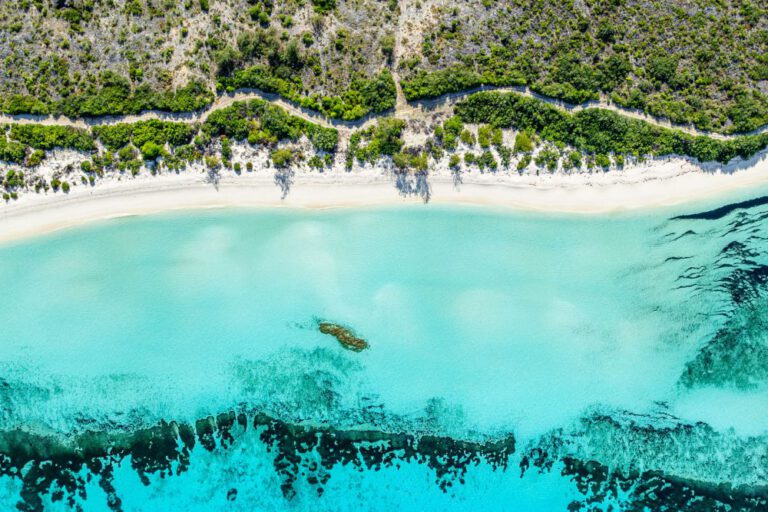 Seychelles and the battle with royalty, rats, and the last truly wild places left on Earth