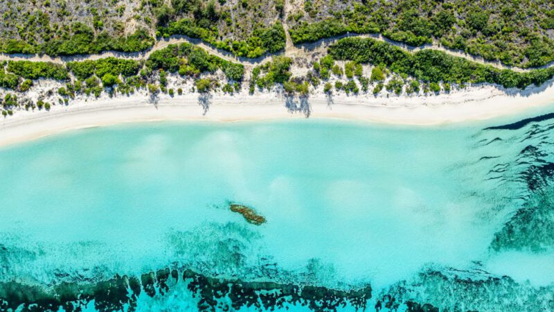 Seychelles and the battle with royalty, rats, and the last truly wild places left on Earth