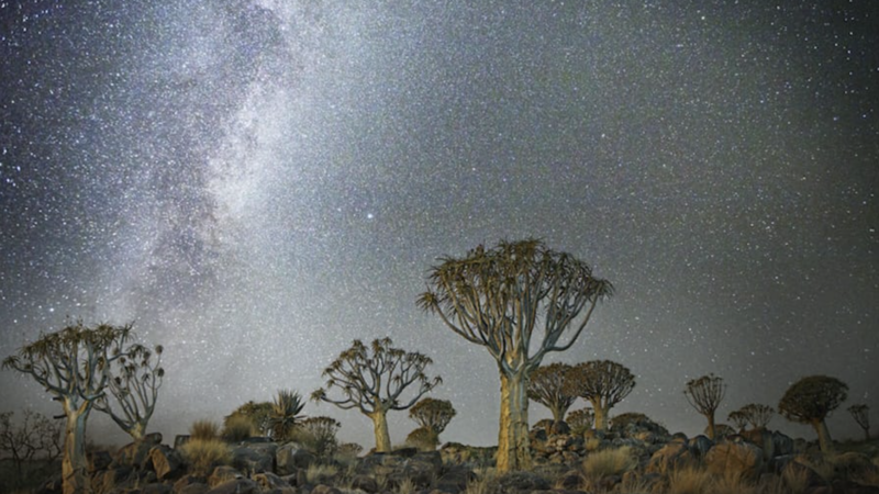 What is Land “COP” in Saudi Arabia and why should we care?