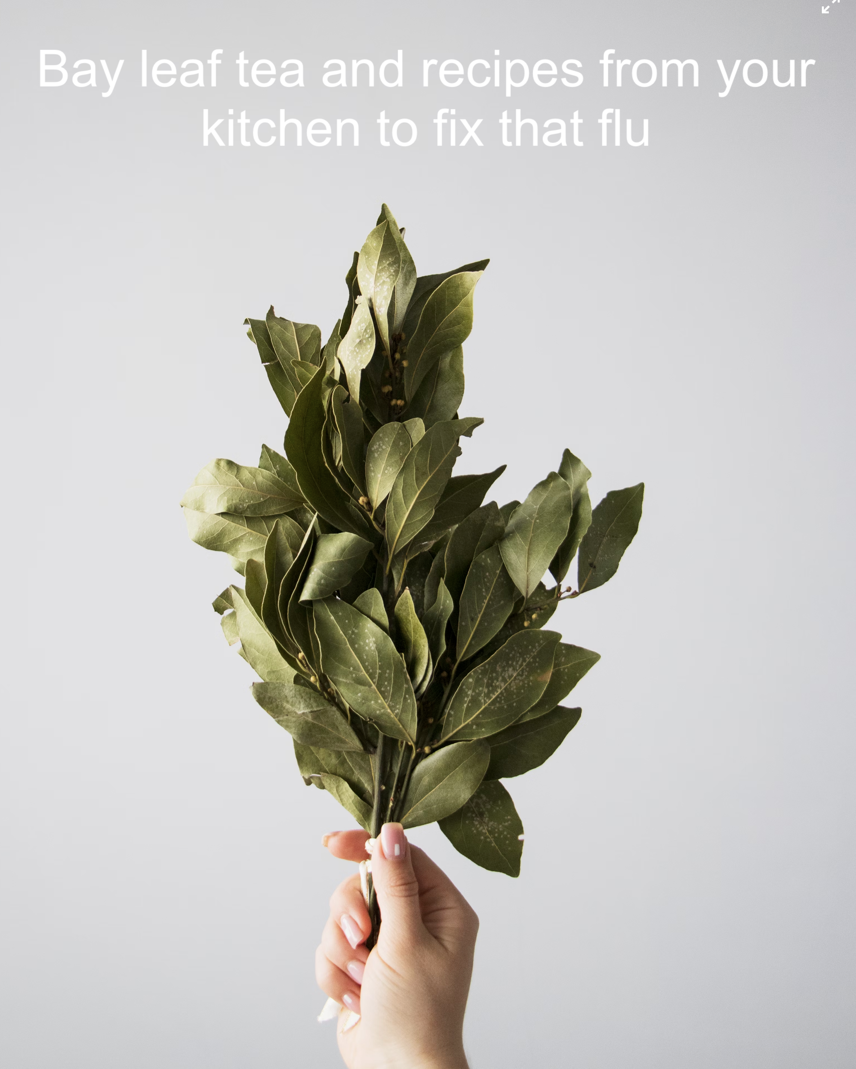 bay leaf tea against the flu 