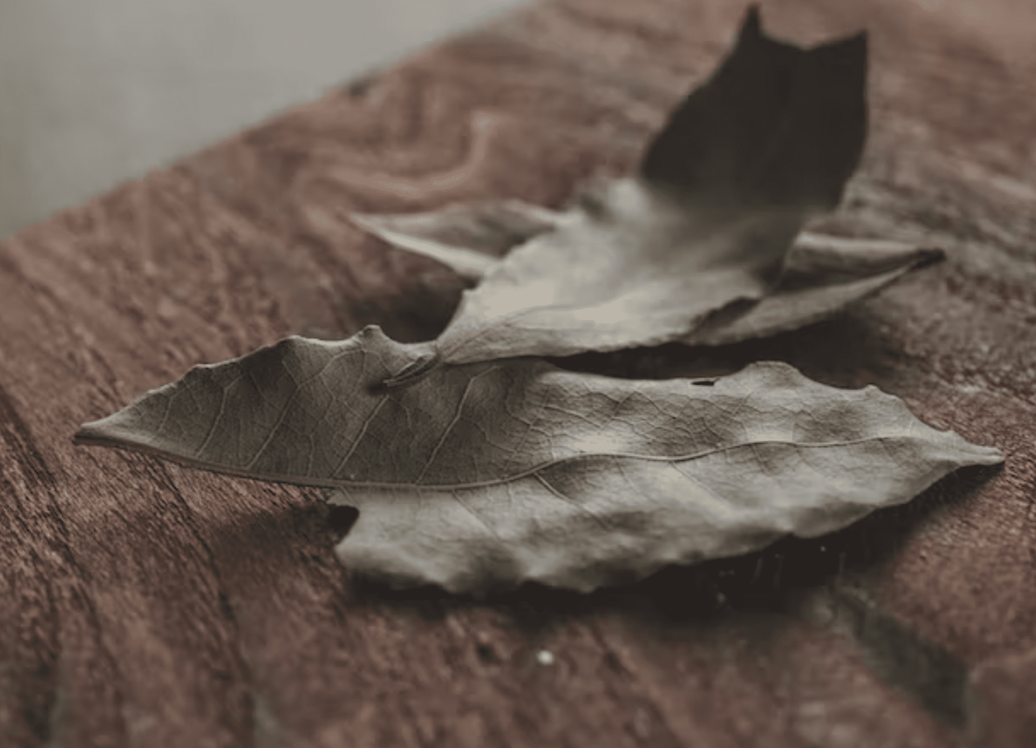 bay leaf, dried bay for middle east cooking soups and stews