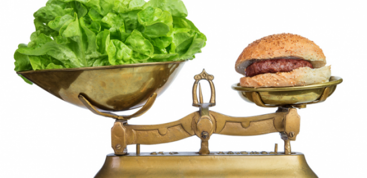 beef-scale-lettuce-cost-660x4331.png