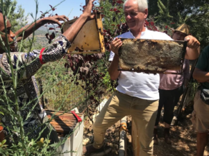 Bees for Peace in Israel uses biodynamic beekeeping to sweeten hearts