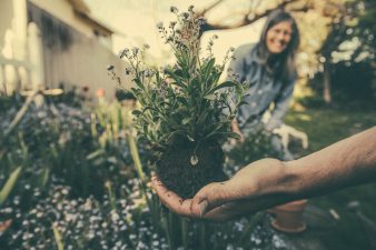 Gardening and Mindfulness