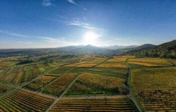 EU’s CAP reform continues trend of supporting small farmers in hour of need