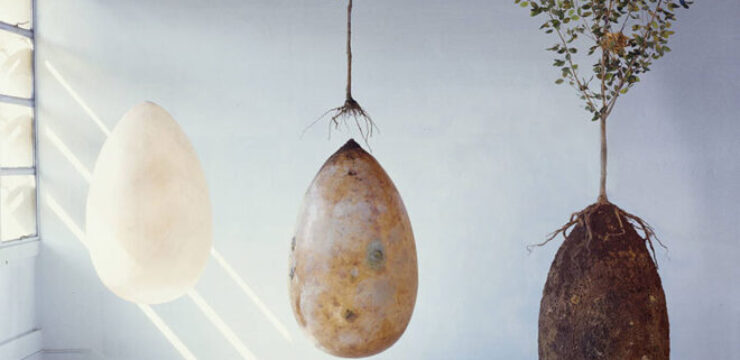 biodegradable-burial-pod-memory-forest-capsula-mundi-9-1.jpg