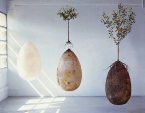 Capsula Mundi burial pods grow live trees from dead people