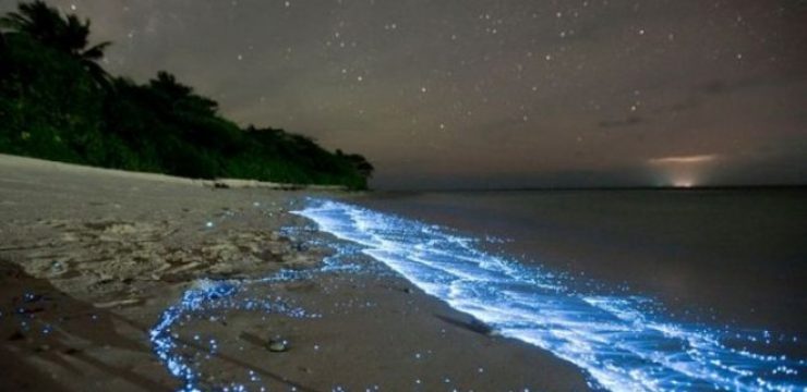 bioluminescent-ocean.jpg
