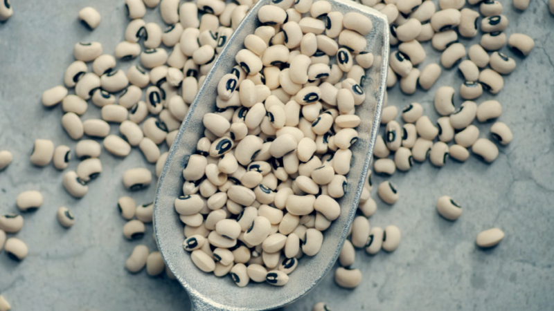 Black eyed peas are a new protein alternative