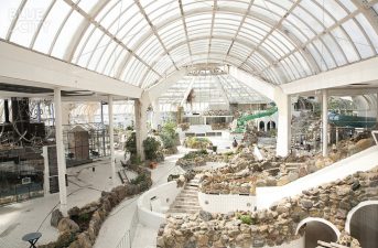 Building Back Better Practices with Industrial Decarbonization Strategies