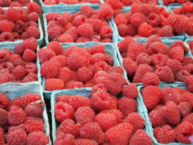 fresh raspberries for cordial