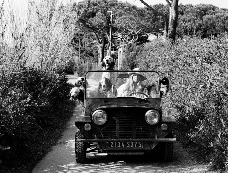 Brigitte Bardot dies but her legacy of animal rights lives on