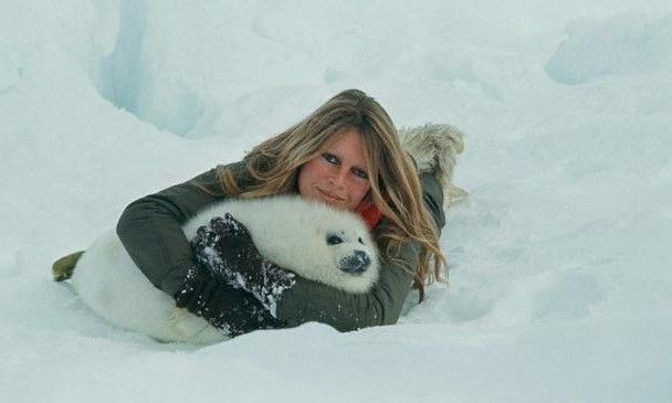 Brigette Bardot protesting the seal hunt