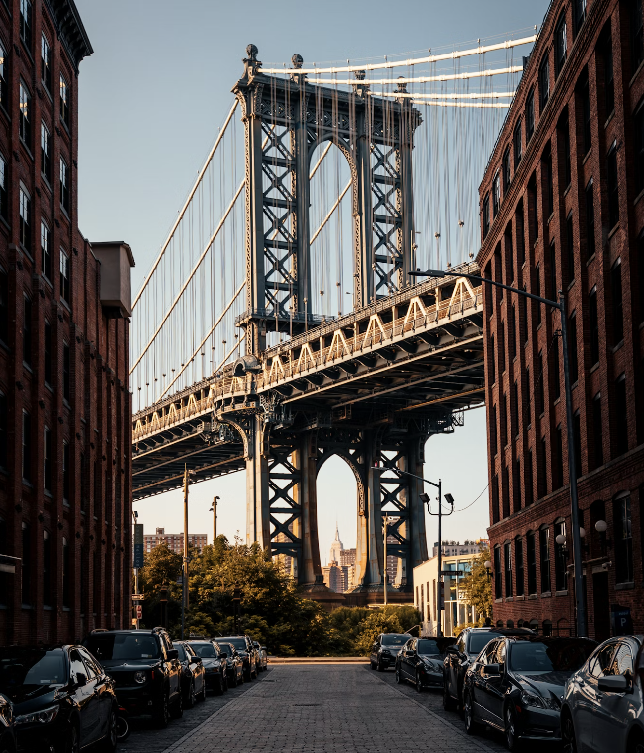 Ecologists find life in the water under the Brooklyn Bridge