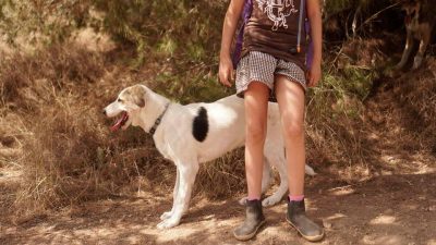 Ticks bite humans for warming the planet