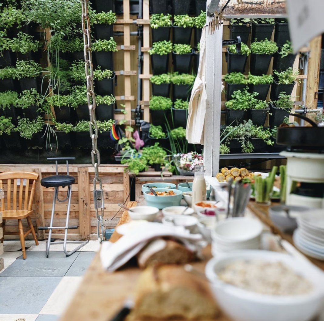 Outdoor kitchen built with recycled materials