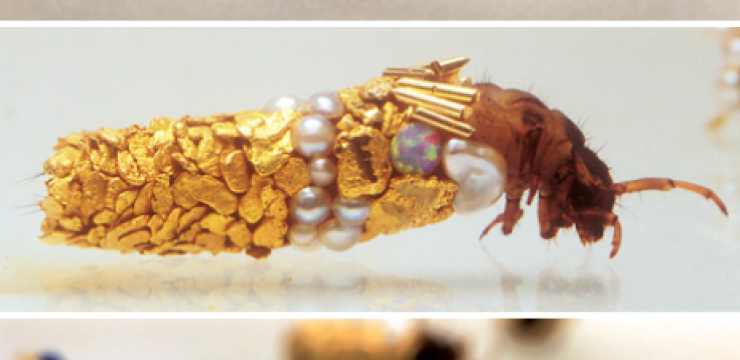 caddisfly-larvae-build-protective-cases-using-materials-found-in-their-environment-artist-hubert-duprat-jpeg-1.png
