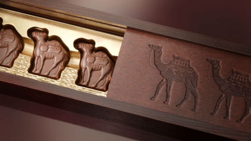 Camel Milk Chocolate: A Unique and Sustainable Treat