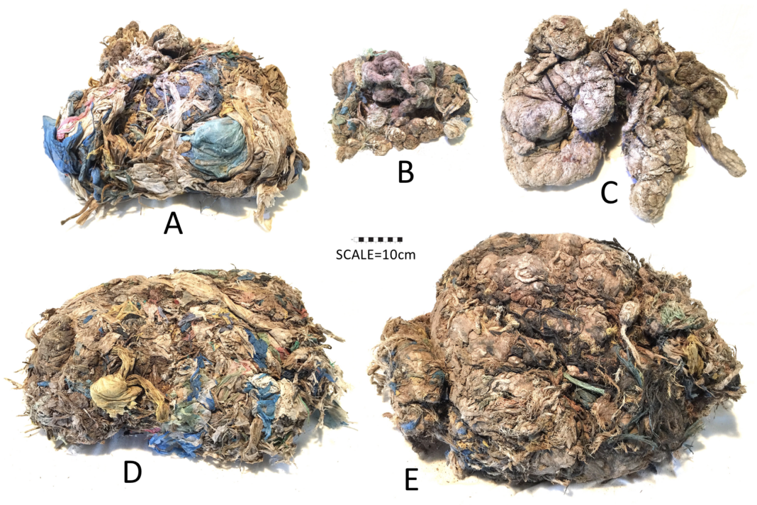 Dubai’s dead plastic camels