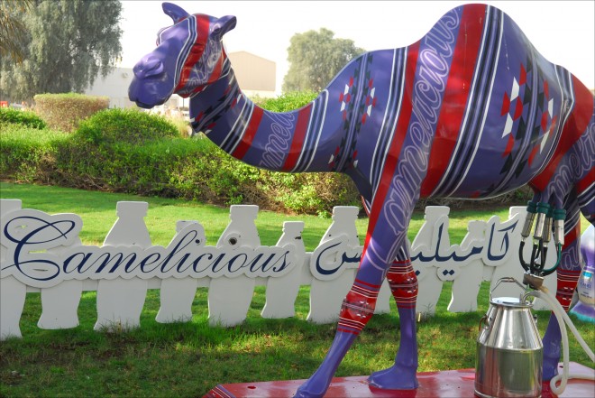 Camel milk sculpture