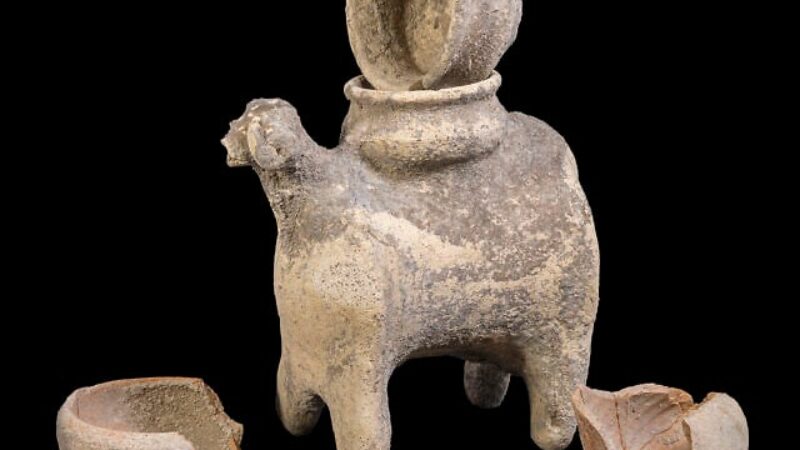 Canaan’s sacred wine and folk worship in the fields