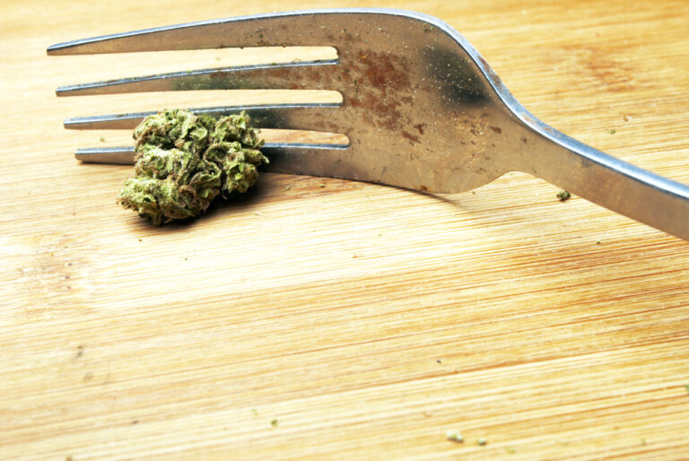 How cannabis will feed the world