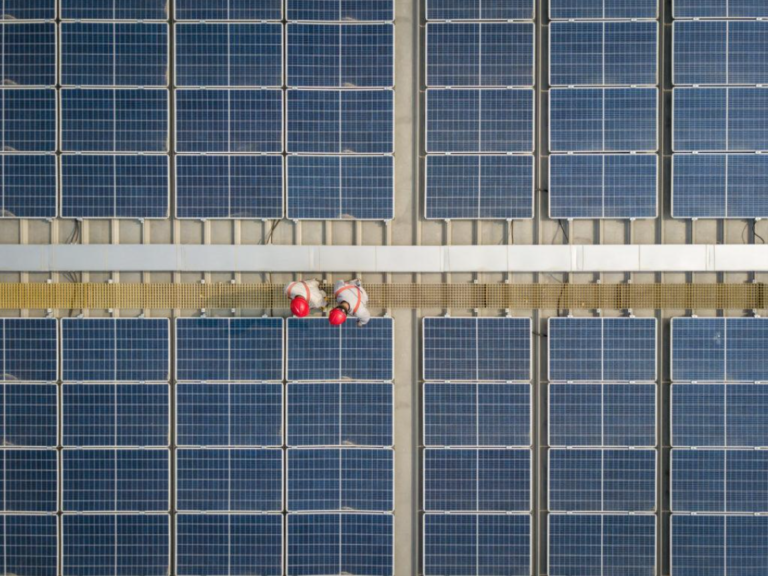 A World Connected by Carbon Neutrality: JD.com Amongst Companies Fighting for Change