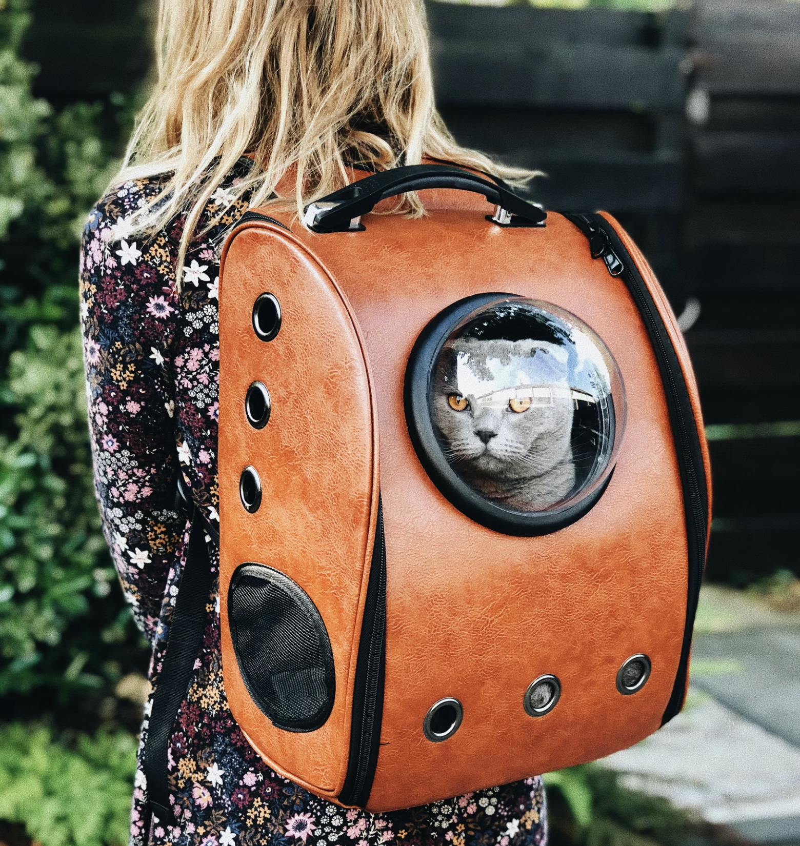 cat suitcase