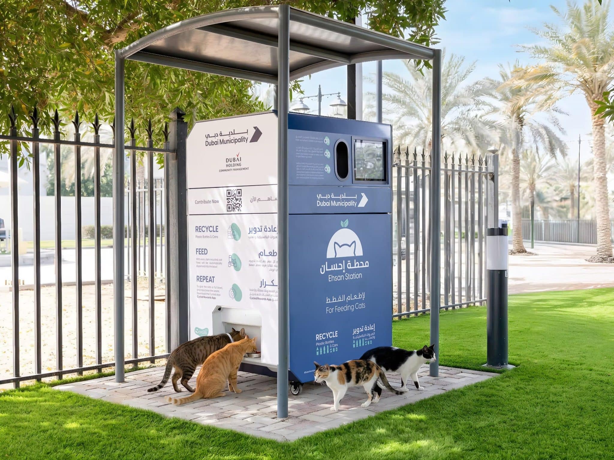 Ehsan Stations to feed stray cats